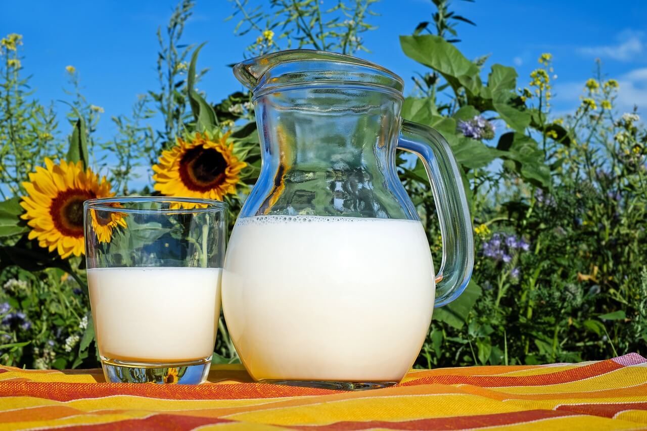 Melk, gezond voor elk?